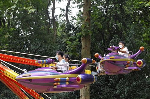 武漢全域降為低風險地區，中山公園游樂場恢復開放，軟件開發行業迎來新機遇